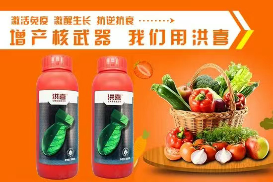 娌冲崡鑹惧埄鍐滃啘涓氱鎶鏈夐檺鍏徃3.jpg 娌冲崡鑹惧埄鍐滃啘涓氱鎶鏈夐檺鍏徃3.jpg