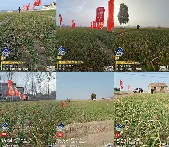 娌冲崡鑹惧埄鍐滃啘涓氱鎶鏈夐檺鍏徃1.jpg 娌冲崡鑹惧埄鍐滃啘涓氱鎶鏈夐檺鍏徃1.jpg